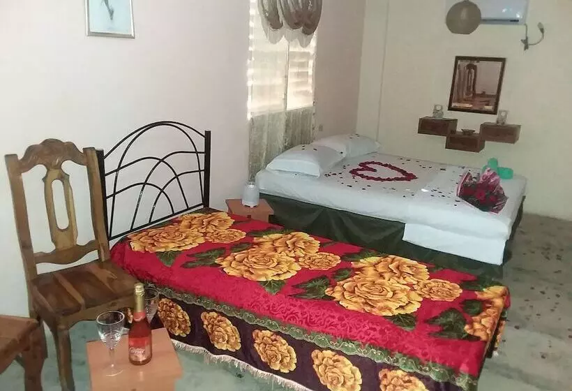 ペンション Casa Finca Don Amable