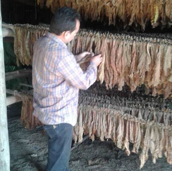 پانسیون Casa Finca Don Amable