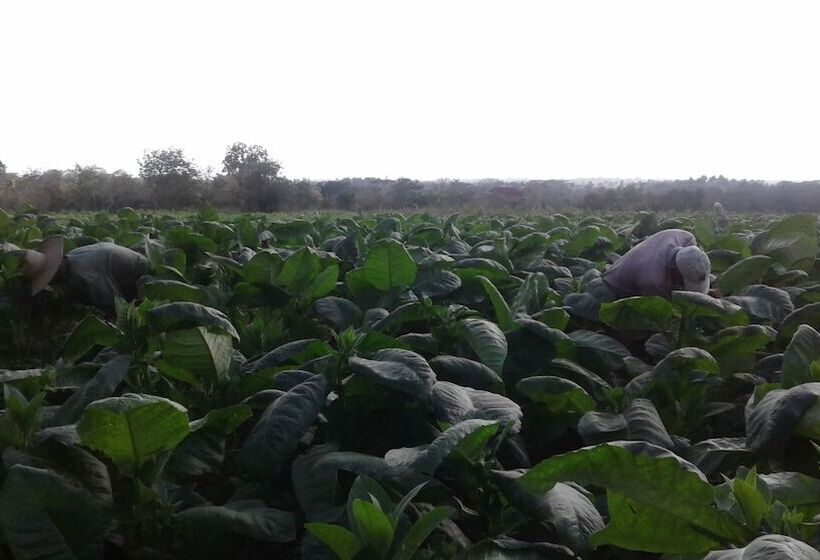 پانسیون Casa Finca Don Amable