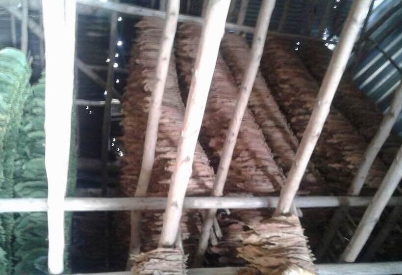 پانسیون Casa Finca Don Amable