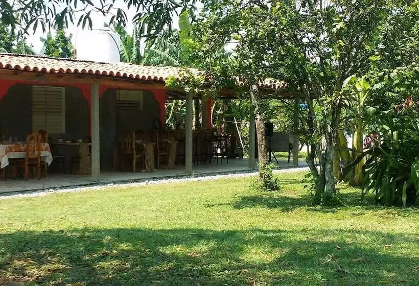 ペンション Casa Finca Don Amable