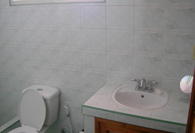 پانسیون Hostal D'sara