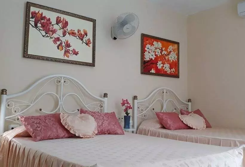 ペンション Hostal Vista Al Mejunje