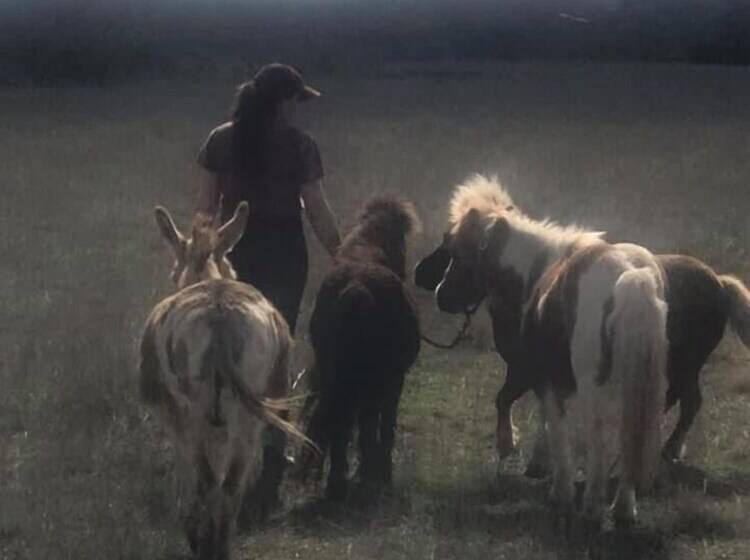 Bed and Breakfast City On A Hill At Spring Creek