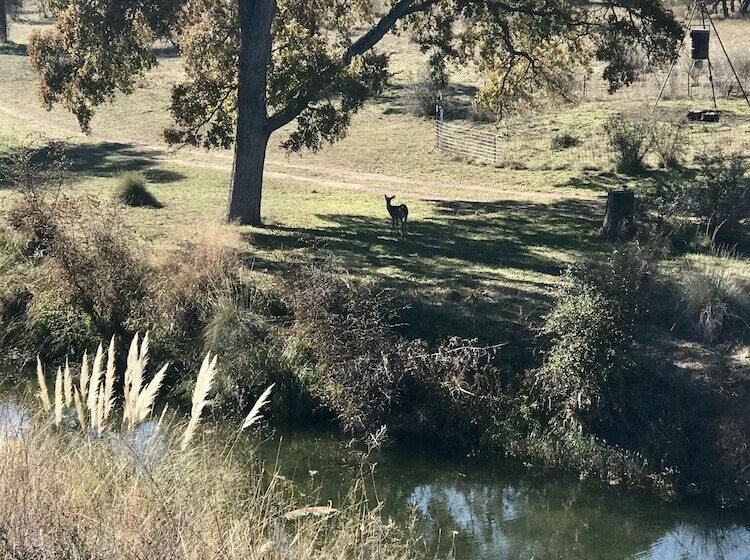 Bed and Breakfast City On A Hill At Spring Creek