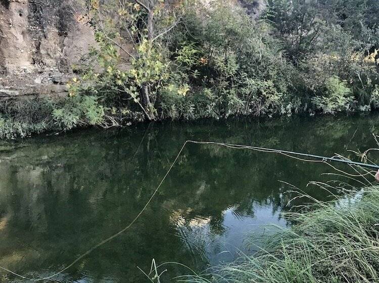 Bed and Breakfast City On A Hill At Spring Creek