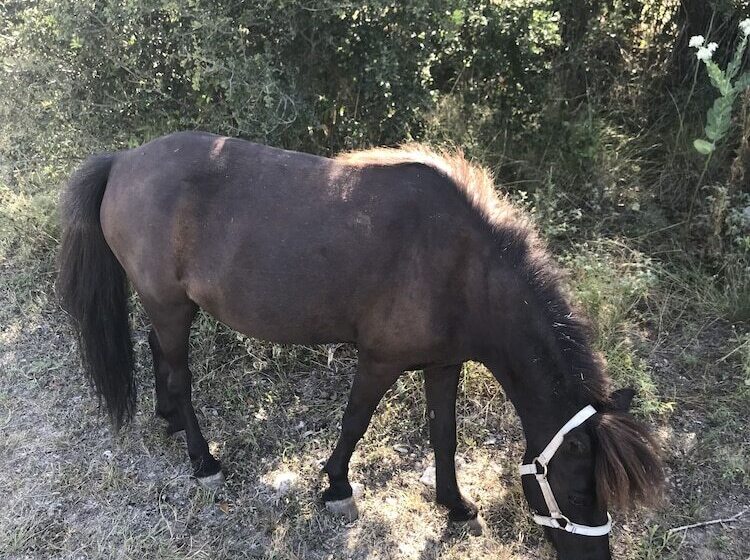 Bed and Breakfast City On A Hill At Spring Creek