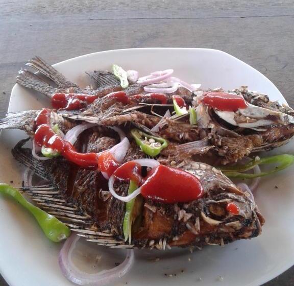 Bed and Breakfast Sunset Surfing Beach Resort