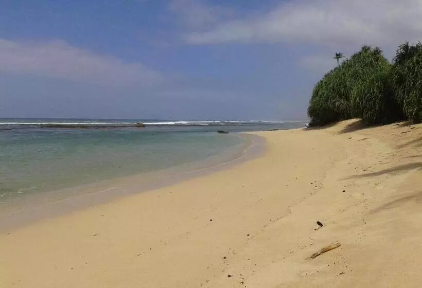 ベッドアンドブレックファースト Sunset Surfing Beach Resort
