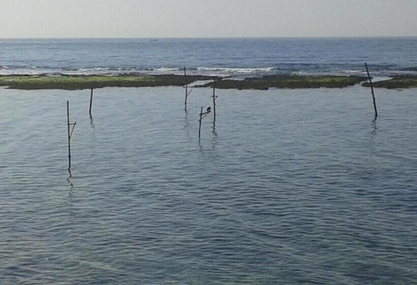 Bed and Breakfast Sunset Surfing Beach Resort