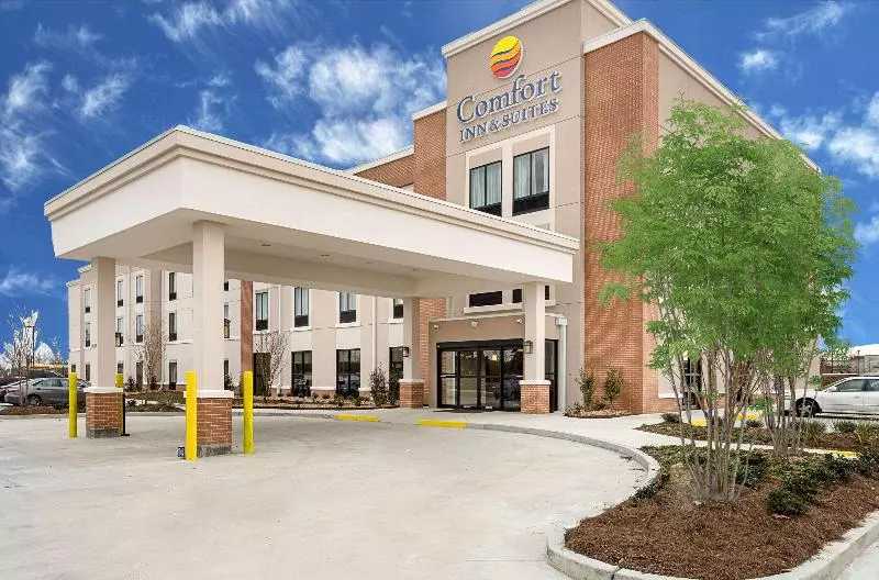 Hotelli Comfort Inn & Suites Zachary