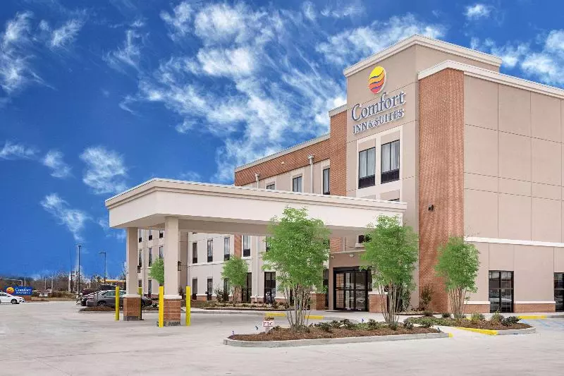 Hotelli Comfort Inn & Suites Zachary
