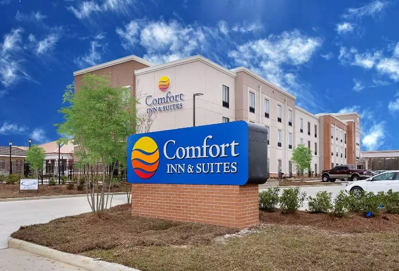 Hotelli Comfort Inn & Suites Zachary