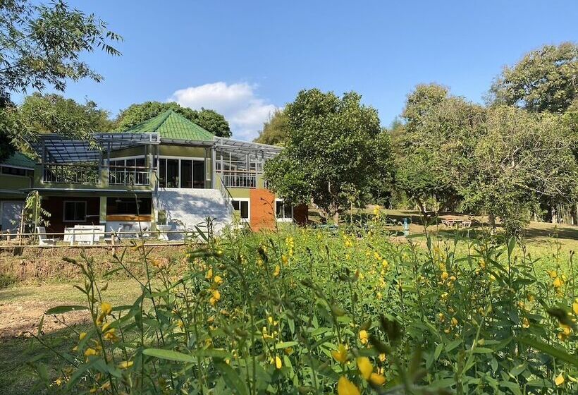 Hotel Viangphing Resort