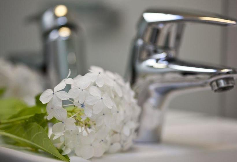 مبيت وإفطار Pitches Store