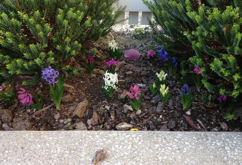 مبيت وإفطار Pitches Store