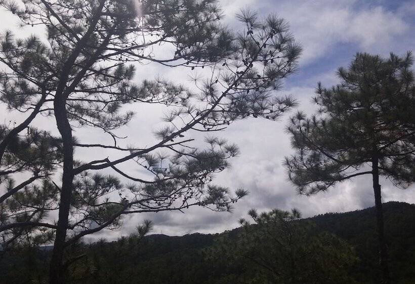 Coffee Heritage House & Hostel