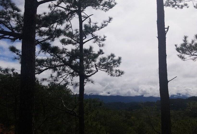 Coffee Heritage House & Hostel