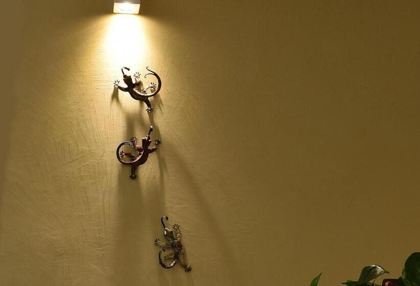 Culummi Bed & Breakfast