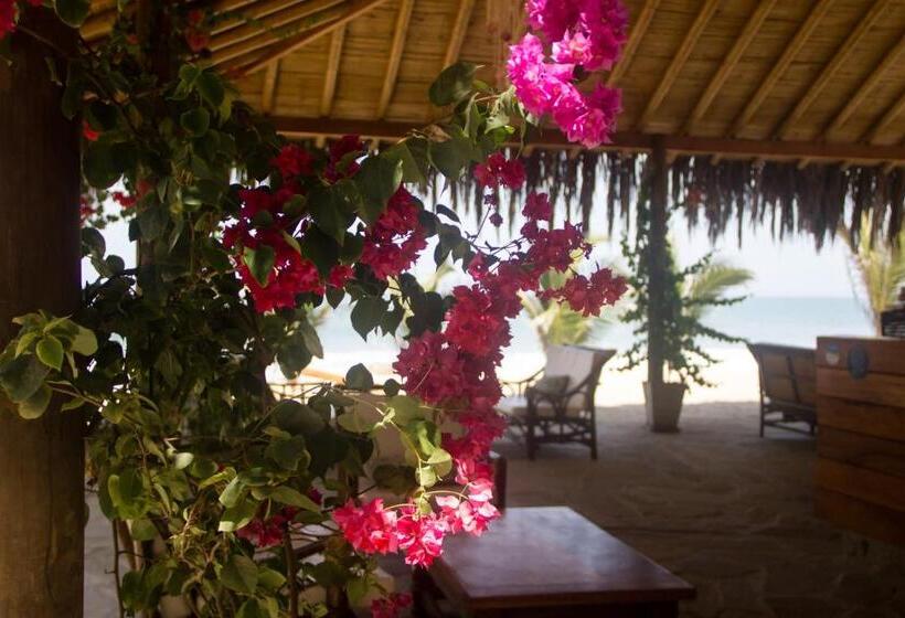 Отель Baja Canoas