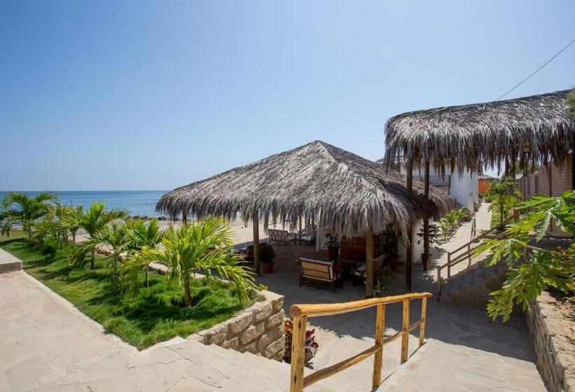 Отель Baja Canoas