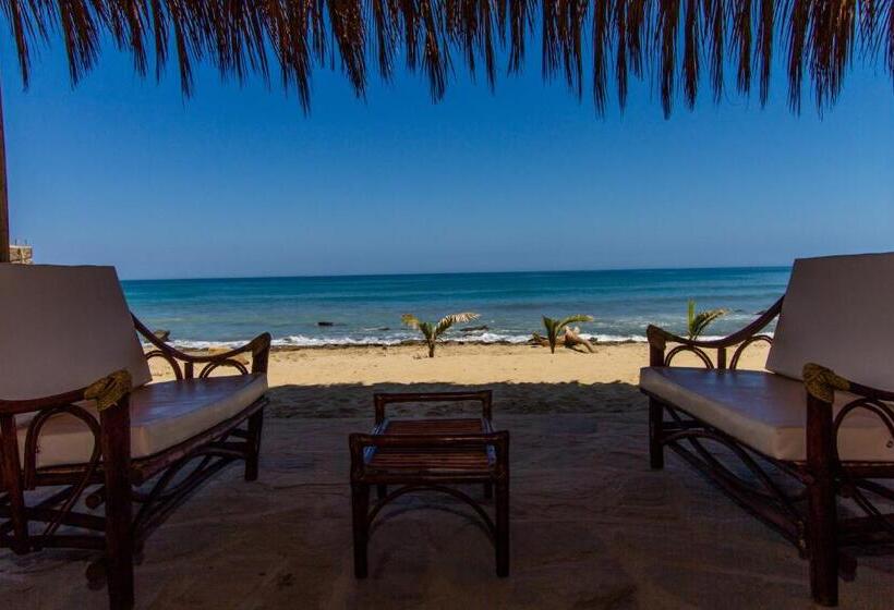 Отель Baja Canoas