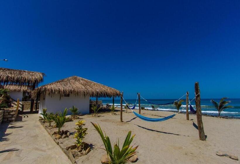 Отель Baja Canoas