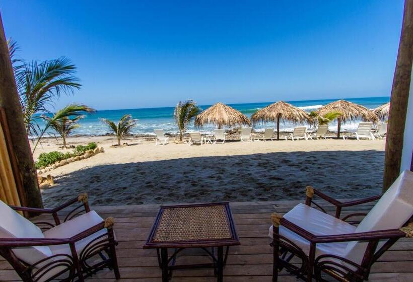 Отель Baja Canoas