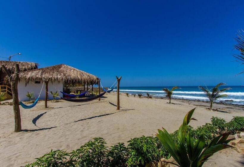 Отель Baja Canoas