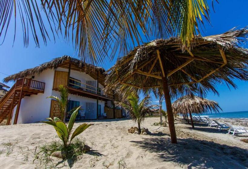 Отель Baja Canoas