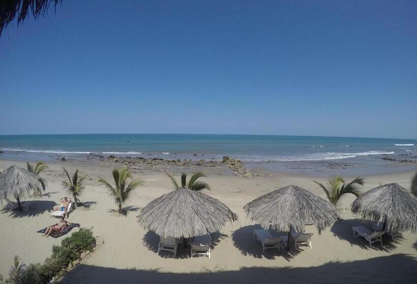 Отель Baja Canoas