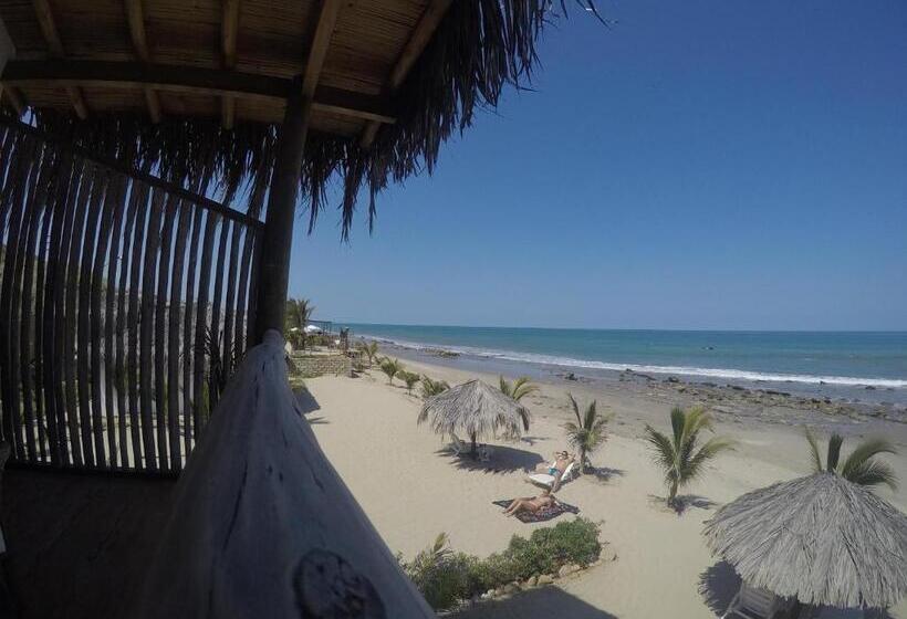 Отель Baja Canoas