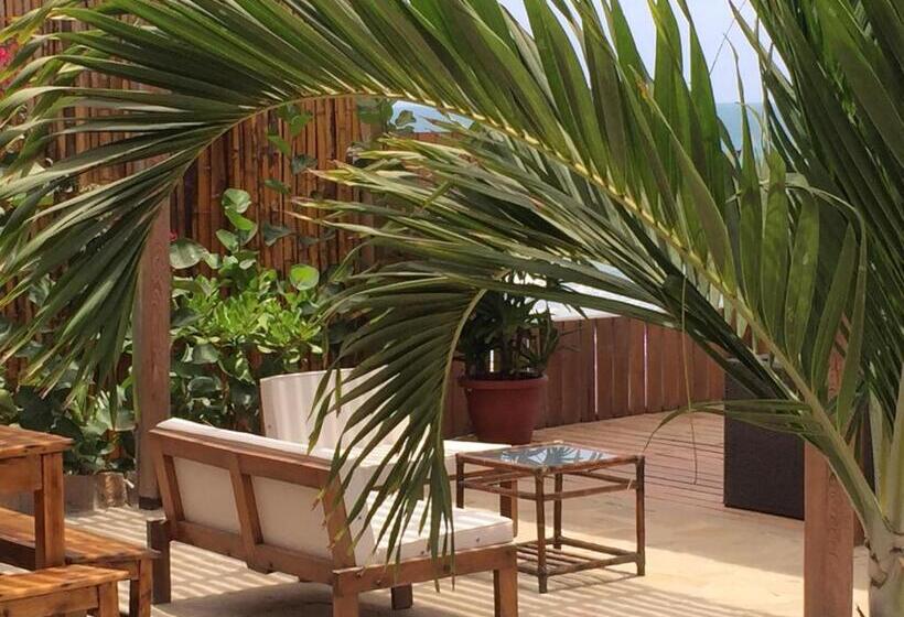 Отель Baja Canoas