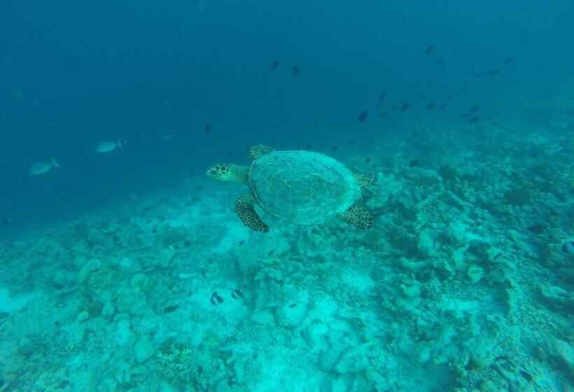 Hôtel Golhaa View Inn By Tes