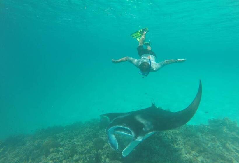 Hôtel Golhaa View Inn By Tes