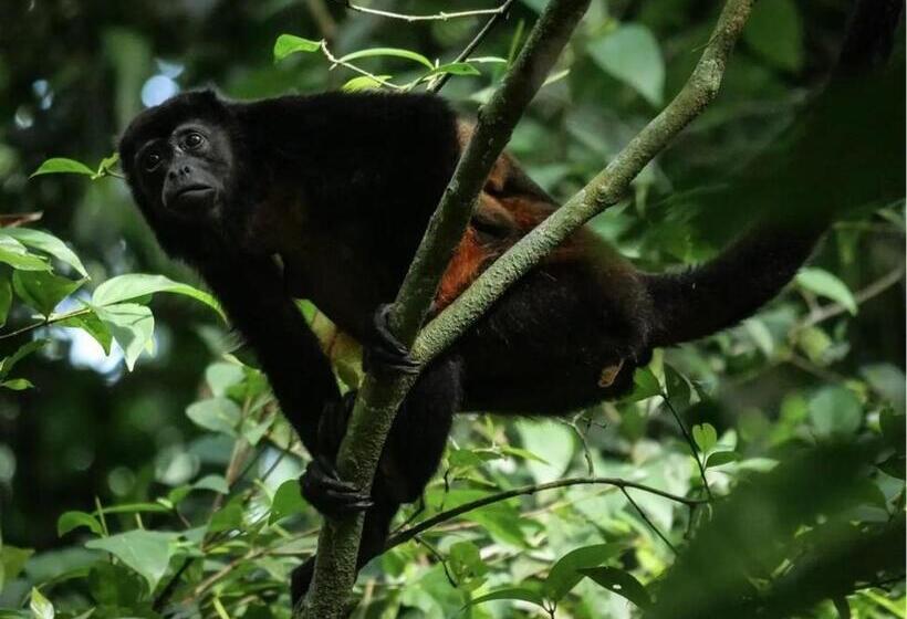 호스텔 Gitana Corcovado, Y Tour Operador