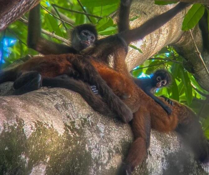 호스텔 Gitana Corcovado, Y Tour Operador