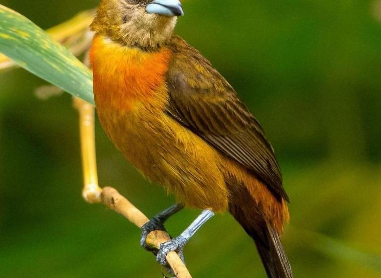 호스텔 Gitana Corcovado, Y Tour Operador