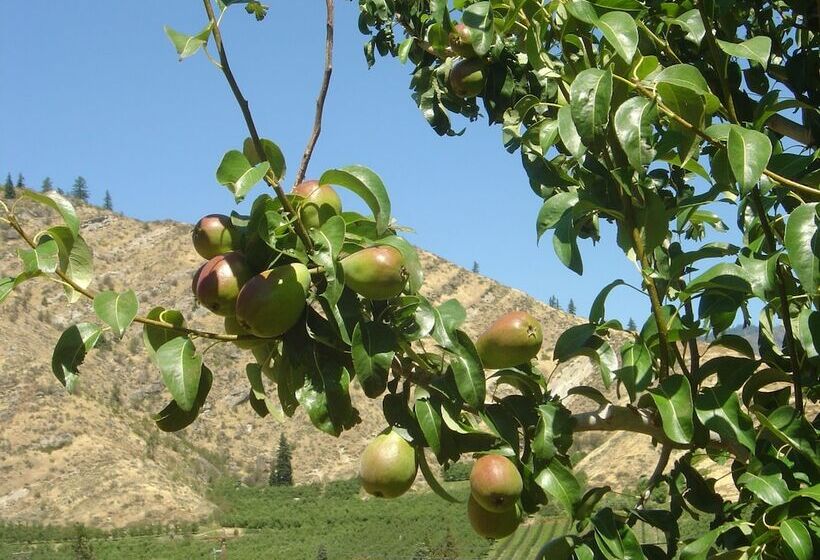 צימר Cascade Valley Inn