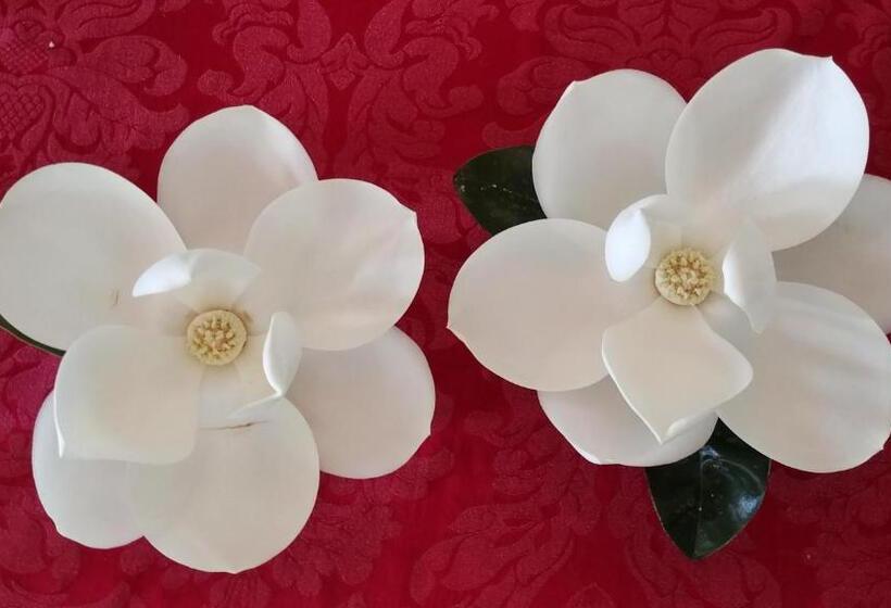 Fruits Of Vienna B&b