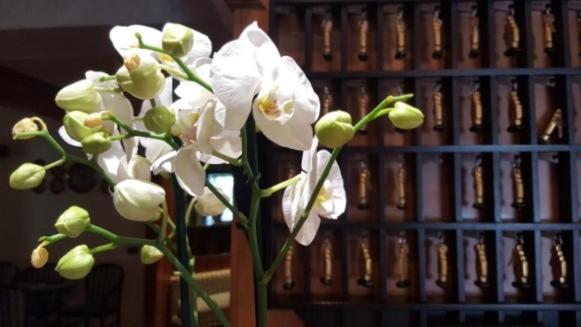 Отель Passacor   Business & Bike