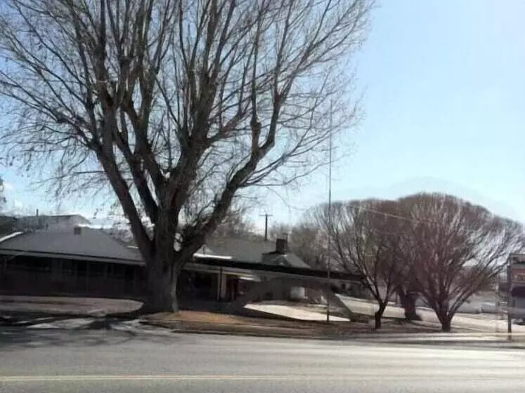 モーテル Gunnison Inn