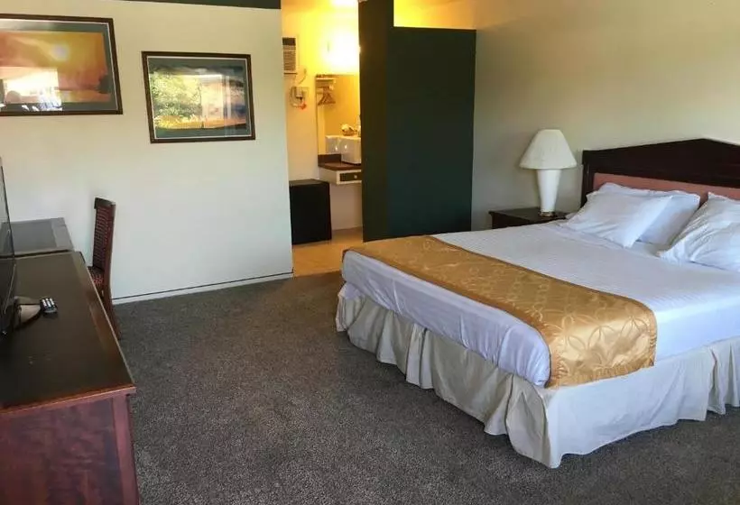 モーテル Rio Sands Lodge
