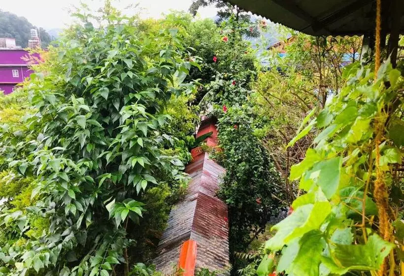 هاستل Goodday Backpackers