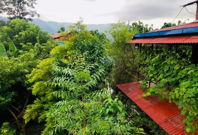 هاستل Goodday Backpackers