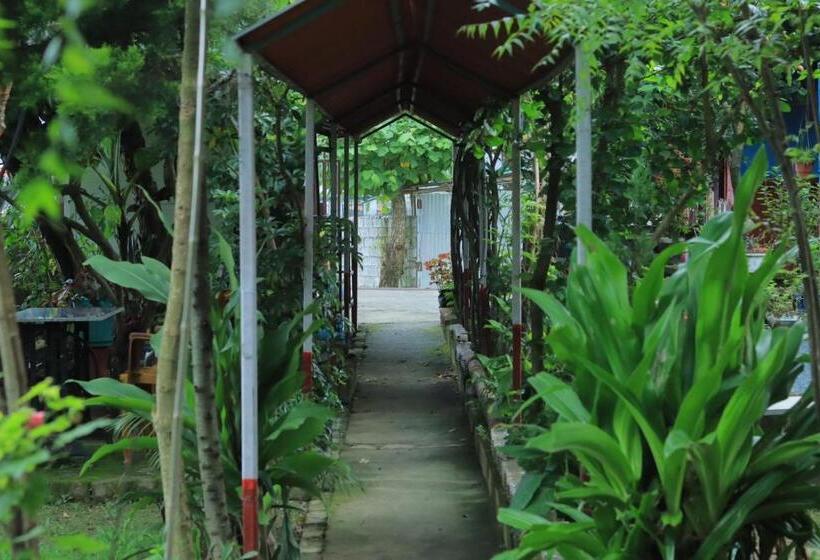 هاستل Goodday Backpackers