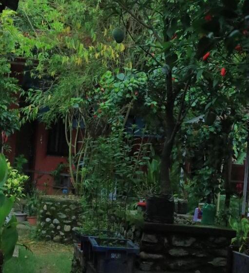 هاستل Goodday Backpackers