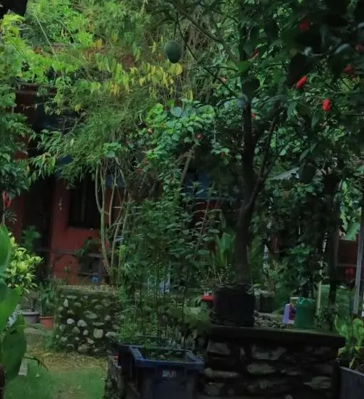 هاستل Goodday Backpackers