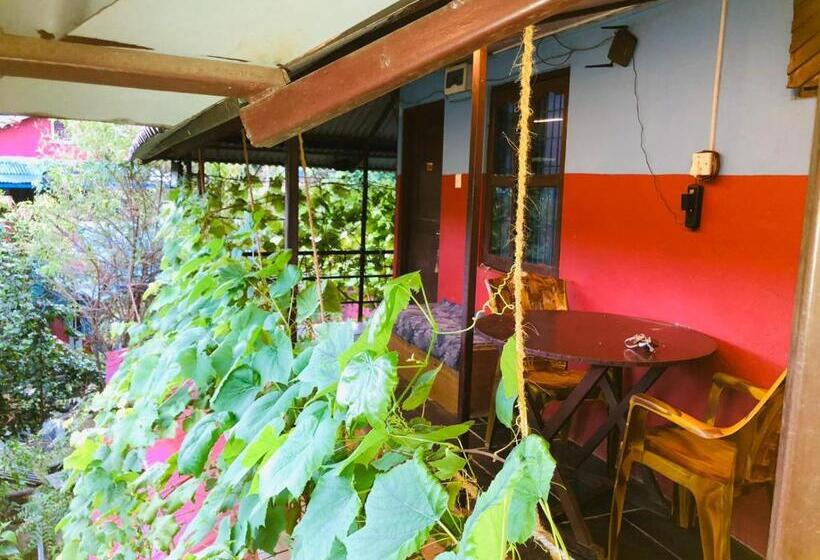 هاستل Goodday Backpackers