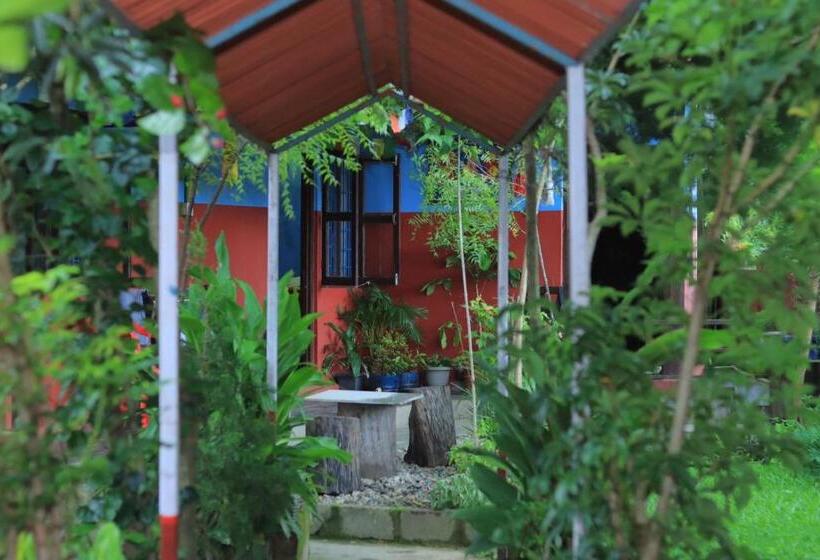 هاستل Goodday Backpackers